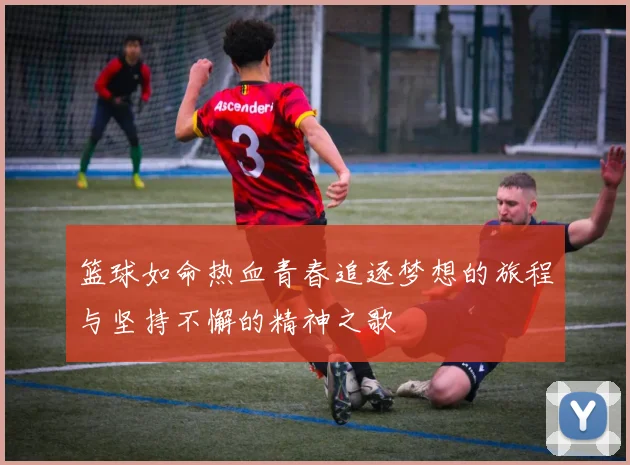 篮球如命热血青春追逐梦想的旅程与坚持不懈的精神之歌