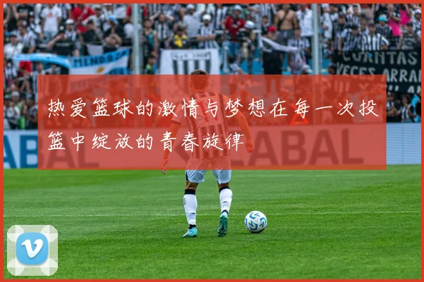 热爱篮球的激情与梦想在每一次投篮中绽放的青春旋律